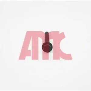 Zestaw śrub głowicy cylindrów AMC 258016 Wyprzedaż