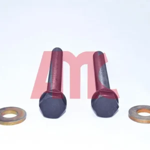 Zestaw śrub głowicy cylindrów AMC 258019 Do wyczerpania zapasów