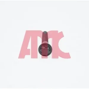 Zestaw śrub głowicy cylindrów AMC 258146 Dodaj do koszyka