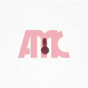 Ograniczona ilość Zestaw śrub głowicy cylindrów AMC 258519