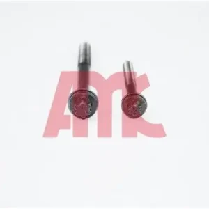 Zestaw śrub głowicy cylindrów AMC 258545 Popularny