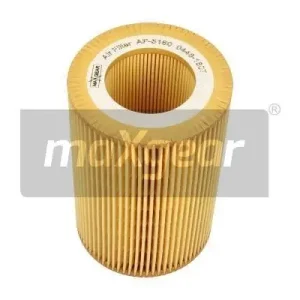 Popularny FILTR POWIETRZA SMART